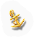 BNS-anchor