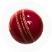 Cricket Ball