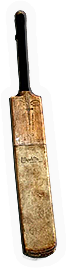 Cricket Bat
