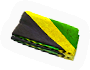 INS-jamaicanFlag