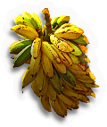 Bananas