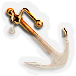 BNS-anchor