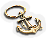 BNS-anchor