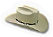 BSL-hat07
