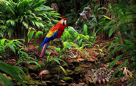 Composite image 7