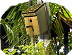 HOT-bird_box