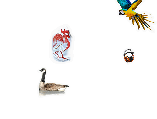 Composite image 6