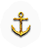 BNS-anchor