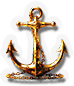 BNS-anchor