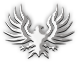 Eagle Motif