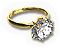 BSL-ring05