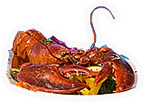 Lobster