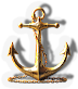 BNS-anchor