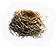 Nest