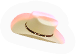 Stetson