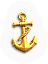 BNS-anchor