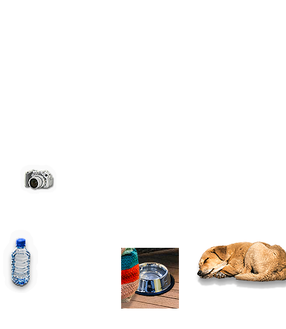 Composite image 4