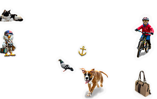 Composite image 6