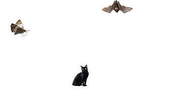 Composite image 4