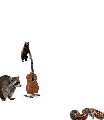 Composite image 6