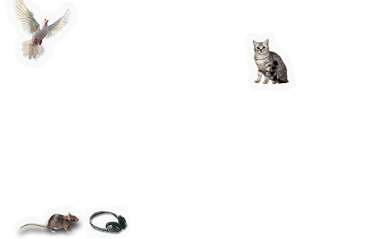 Composite image 10