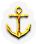 BNS-anchor