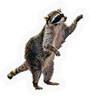Mammal