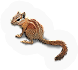 Mammal