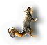 Mammal
