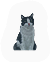 Mammal