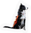 Mammal