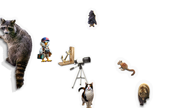 Composite image 4