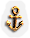 BNS-anchor