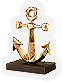 BNS-anchor