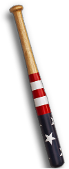 Baseball Bat