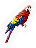 INS-parrot