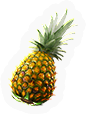 Pineapple