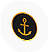 BNS-anchor