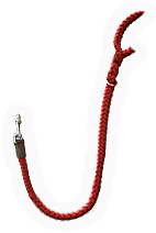 Leash