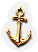 BNS-anchor