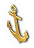 BNS-anchor