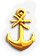 BNS-anchor