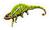 Chameleon