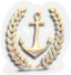 BNS-anchor