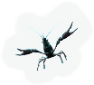 Crustacean