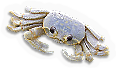 Crustacean