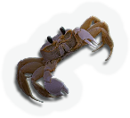 Crustacean