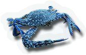 Crustacean