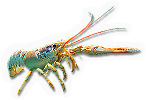 Crustacean
