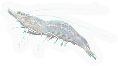 Crustacean